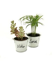 C5-mesinvites-visuel-mini-plantes