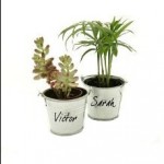 C5-mesinvites-visuel-mini-plantes