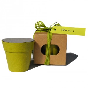 kit-fleur-vert