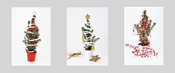 SAPINS-BLOG2