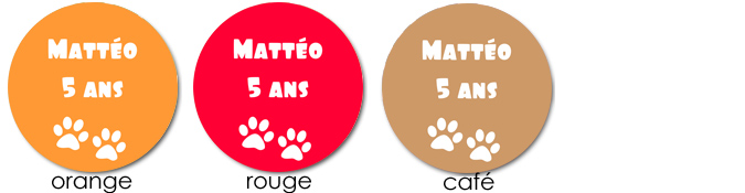 sticker modèle ours