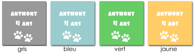 sticker modèle ours