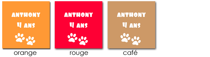 sticker modèle ours