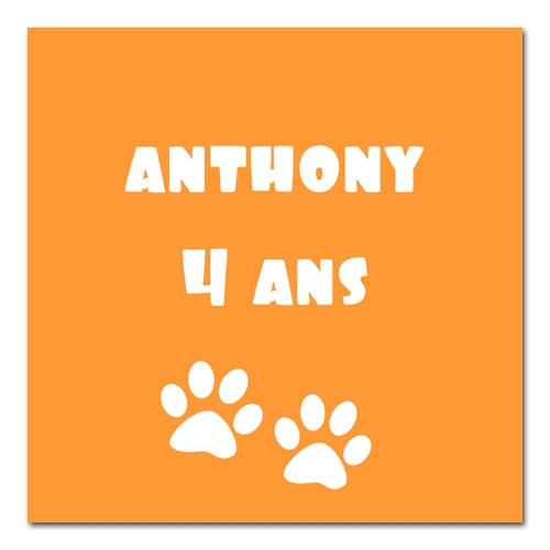 sticker carré OURS